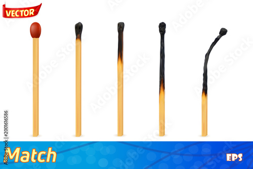 wooden burned and extinct match set icos vector illustration