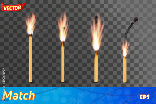 wooden burned and extinct match set icos vector illustration