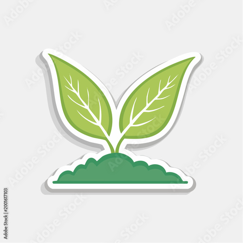 Green sprout growing from soil, symbol of growth and nature