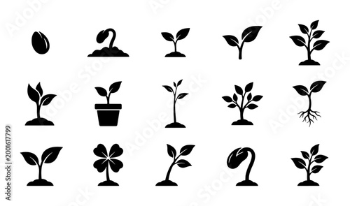 Tableau sur toile Plant growth stages icon set, black sprout and seedling vector silhouettes, 15 n