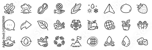 Sunset, Safe planet and Leaf dew line icons pack. Share, Message, Paper plane icons. Leaf, Corn, Potato web icon. Macadamia nut, Strawberry, Leaves pictogram. Vector