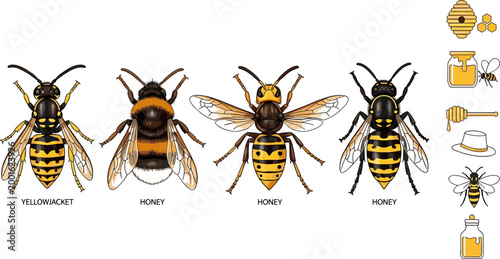 Detailed Realistic Yellowjacket and Honey Bee Species Collection with Beekeeping Icon Set Vector Illustration for Nature Education Design