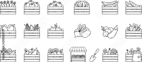 Set of hand drawn vegetable crates and farm market icons for organic food and agriculture design