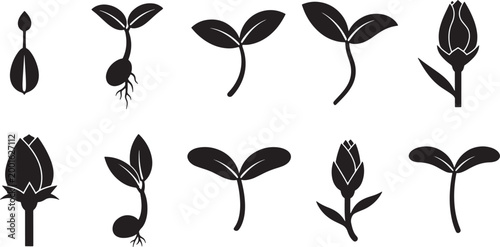Set of plant growth stages icons showing seed germination seedling development and flower bud blooming process