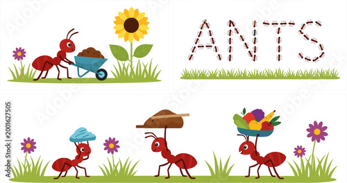 Cute Cartoon Red Ant Worker Characters Carrying Wheelbarrow Food Rock and Sunflower Garden Scene Vector Illustration Set for Nature Design