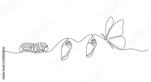 Fotografía Illustration of butterfly life cycle: caterpillar pupa butterfly with butterfly,