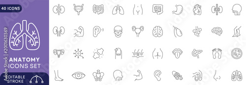 Anatomy icons set. Containing brain, lungs, stomach, skeleton . line Icon Collection. Editable stroke.