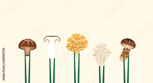 Mushroom icons, vector fungi illustrations, edible mushroom graphics, botanical elements