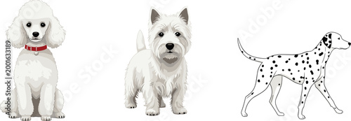 Cartoon Dog Illustration Set Featuring Poodle, Westie, and Dalmatian Breeds for Pet, Animal, and Dog Lovers Designs