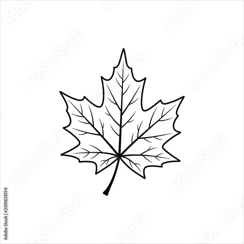 Autumn maple leaf outline during fall season Vector Illustration Isolated on white background
