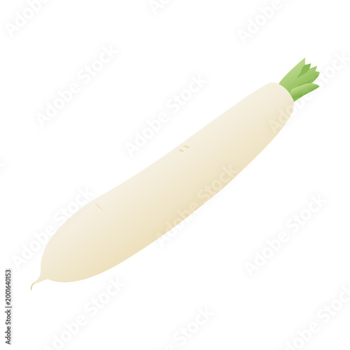 Fresh organic orange carrot vegetable illustration isolated on a white background representing healthy nutrition and raw plant nature