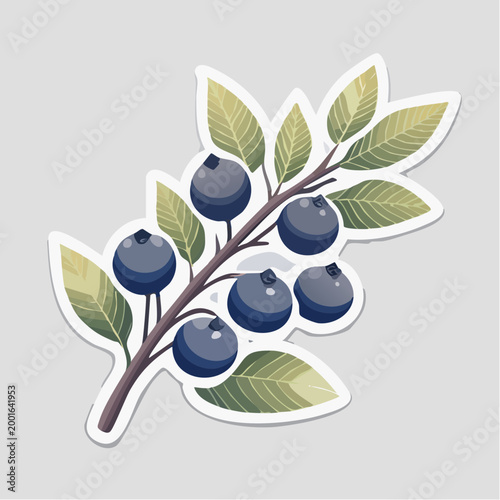 Illustration of a blueberry branch with leaves