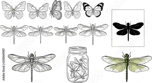 Detailed vintage dragonfly and butterfly illustration set with silhouette, outline, jar and green realistic insect on dark background