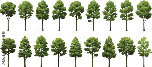 Realistic green trees collection vector set with various forest park trees isolated natural foliage elements landscape design illustration bundle