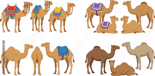 A detailed collection of thirteen cartoon camel illustrations featuring dromedaries in various poses, including standing, sitting, and decorated with colorful traditional saddles and blankets.