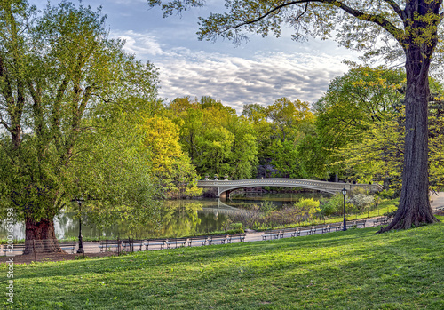 Central Park, New York City at the lake, Bow bridge