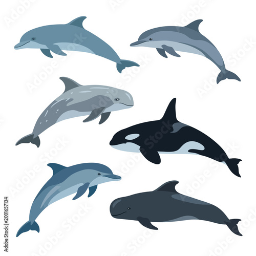 Illustrated collection of diverse oceanic mammals elegant dolphins, a powerful orca, and a distinctive porpoise. Showcasing the variety and wonder of marine life
