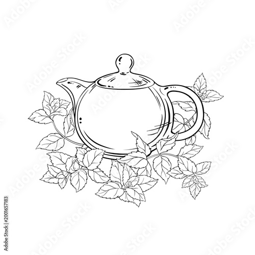 Peppermint Tea in Teapot aroma beverage Outline Illustration. Vector isolated for Design and Decoration for Cafeteria, Posters, Banners, Cards.