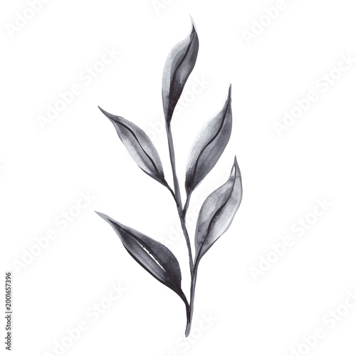 Hand Painted Abstract Watercolor Leaf. Monochrome Botanical Clipart Branch. Isolated black blue floral element on white background. Vector Illustration. Perfect for elegant design and wedding
