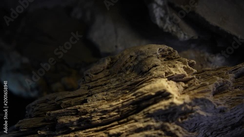 Layered wood texture with dramatic light and cinematic natural depth