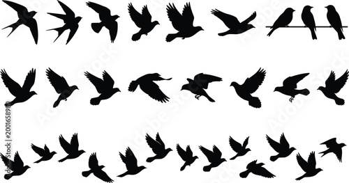 Silhouettes of birds in flight and perched positions showing diverse wing movements and natural postures