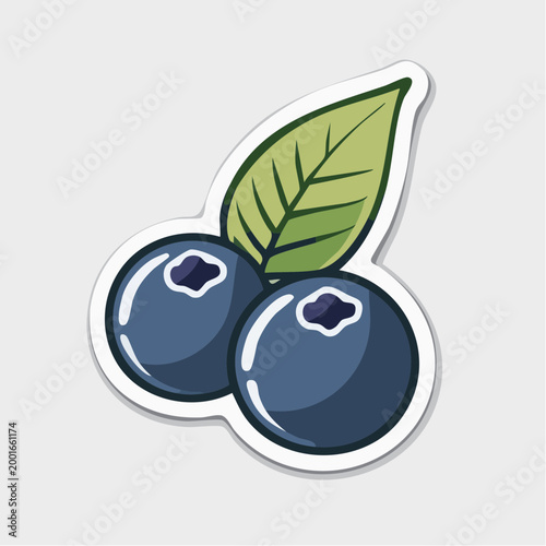 Illustration of two blueberries with a leaf