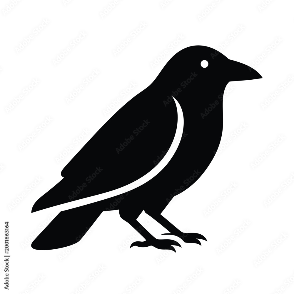 Fototapeta premium Black Crow Silhouette on White Background bird raven