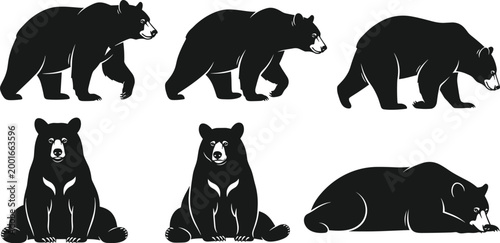 Black bear silhouettes collection with walking sitting and resting poses wildlife animal vector illustration set in monochrome style