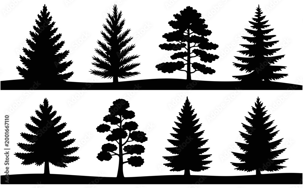 Obraz premium Pine tree silhouettes on hills pine trees landscape