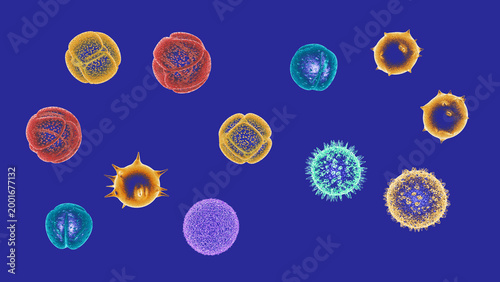 3D illustration of various pollen grains moving in the air. These grains cause several spring allergies. Presented in a transparent scientific graphic style on a blue background.