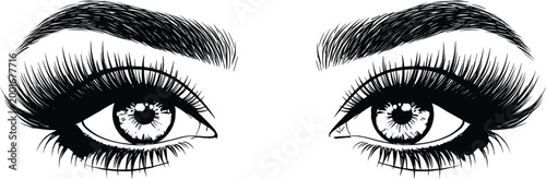 Beautiful female eyes with long eyelashes and eyebrows hand drawn sketch style black and white vector illustration for beauty design