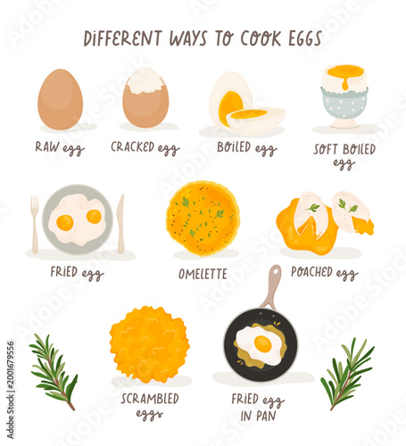 Collection of egg cooking methods including raw, cracked, boiled, soft boiled, fried, omelette, poached and scrambled eggs. Food preparation concept, breakfast dishes, minimal illustration