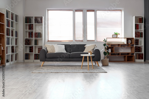 Modern grey sofa and booksh...