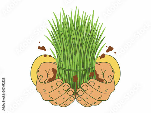 Hands holding green grass seedling bundle illustration