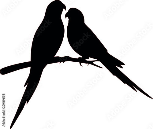 Bird silhouette on branch with white background