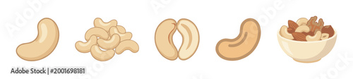 Set of cashew nut vector illustrations shows a single kernel, a pile, a split nut, and a bowl of mixed nuts including almonds and walnuts for a healthy snack design