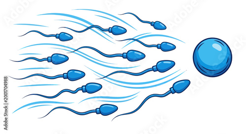 Sperm Cells Moving Towards Egg Cell.