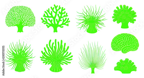 Collection of green sea fan corals.