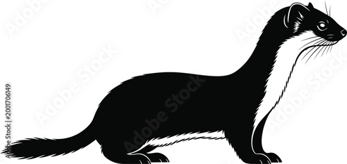 Black silhouette of a stoat or weasel in a natural pose