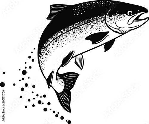 Vintage engraving of a leaping salmon detailed black and white illustration