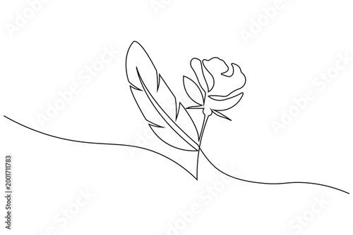 Rose flower continuous outline with bird feather modern minimal line art design