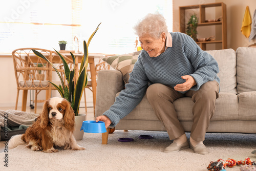 Senior woman with pet bowl ...