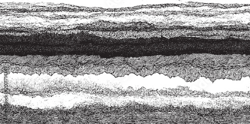 Abstract black and white layered organic texture with wavy lines and granular patterns