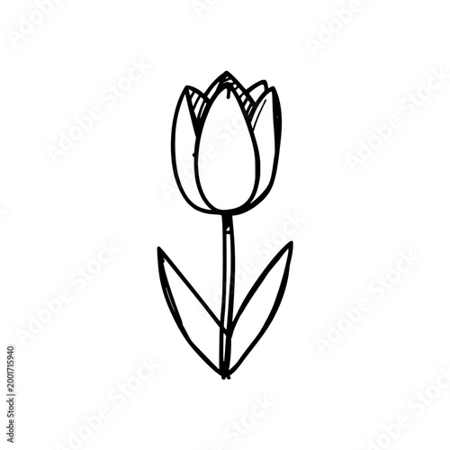 Wild tulip flower icon logo design. Floral plant sign and symbol. Wild tulip icon. Minimalist hand drawn doodle flower for wedding or branding.