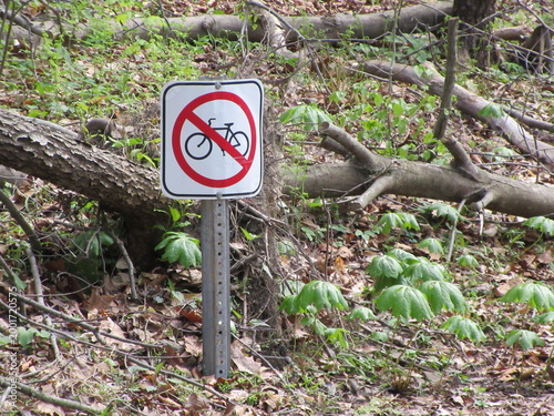 no dogs allowed