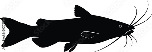 Black silhouette of a corydoras catfish a freshwater aquarium fish