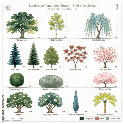 Create a realistic kinds of deferent Watercolor tree vector in side view painting botanical for section and elevation. landscape plan and architecture layout drawing, elements for vector art.