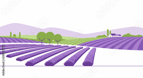 Lavender field with trees hills.