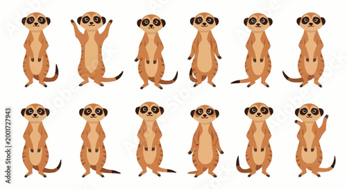 Meerkats standing on hind legs.