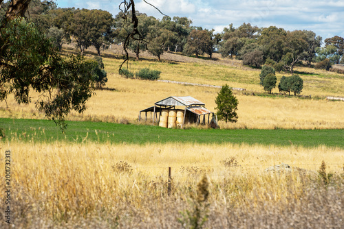 Rural scenery near Molong, New South Wales, Australia